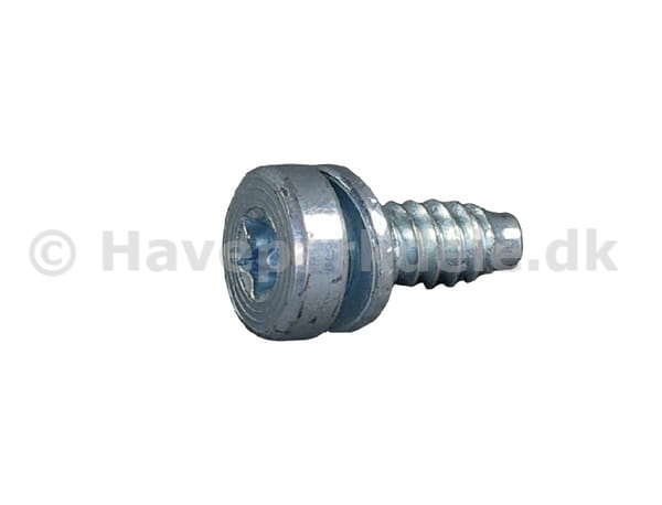 B&S Screw