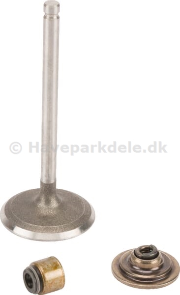 B&S Intake valve